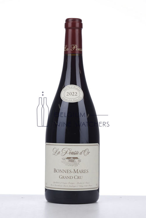 Picture of 2022 BONNES MARES